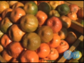 Seis vitaminas que ajudam a proteger contra problemas da pele